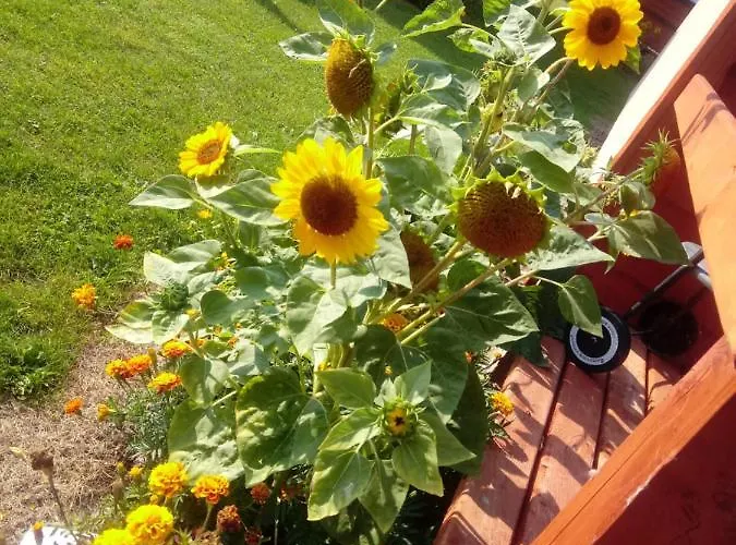 Eden Kompleks wypoczynkowy *