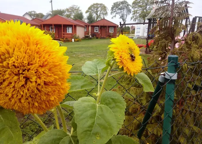 Kompleks wypoczynkowy Eden